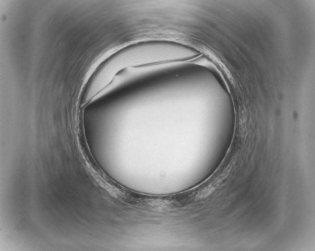 X0000085831085200704091652