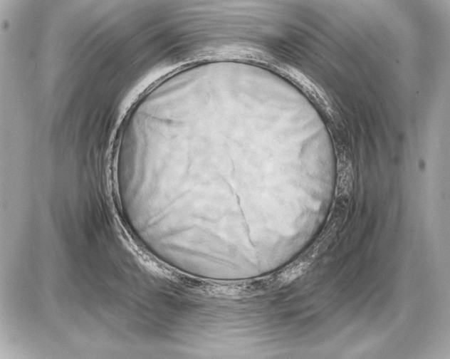 X0000085831086200704091652