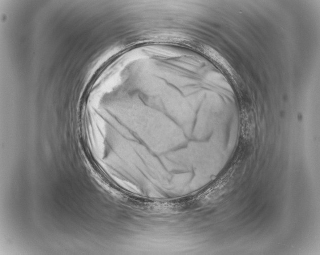 X0000085831087200704091652