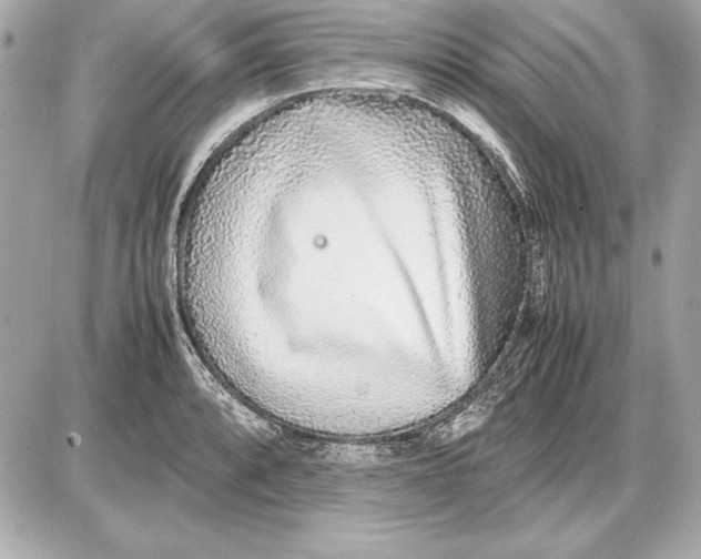 X0000085831088200704091652