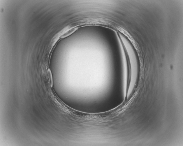 X0000085831089200704091652