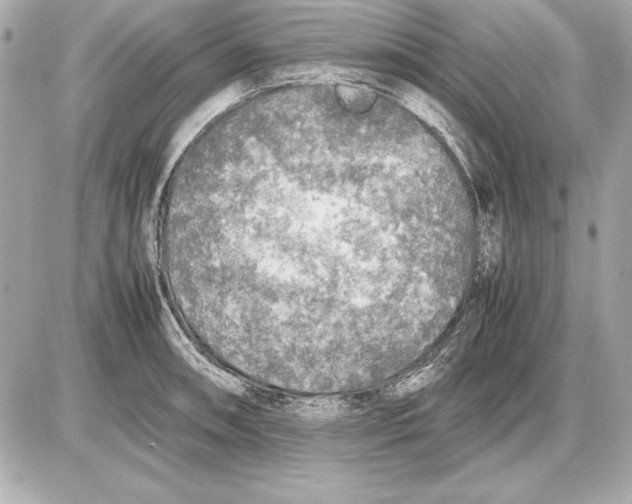 X0000085831090200704091651