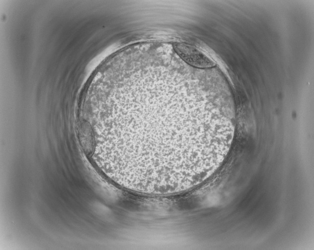 X0000085831091200704091651