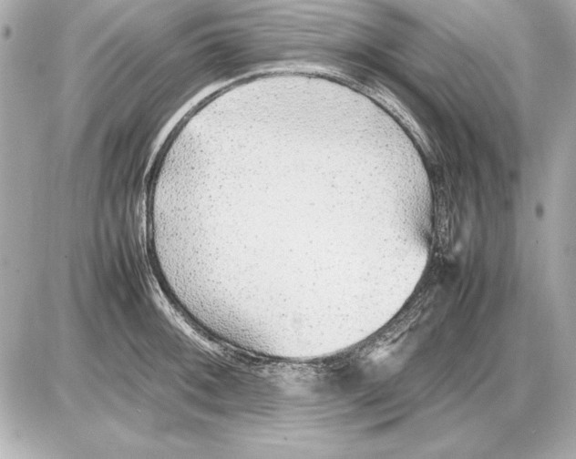 X0000085831092200704091651