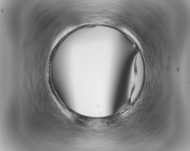 X0000085831093200704091651