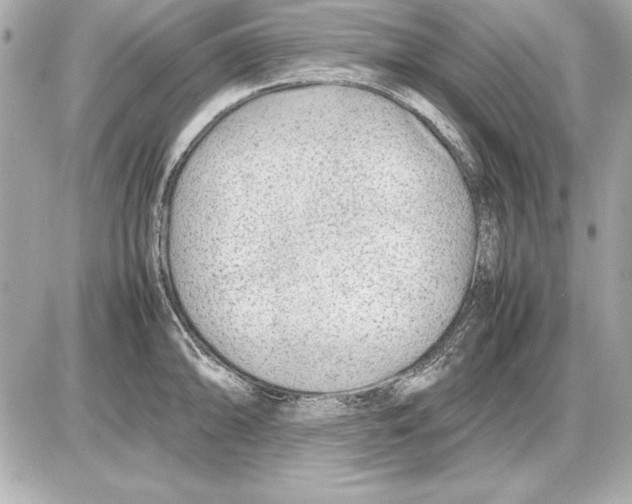 X0000085831094200704091651