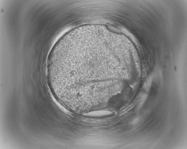 X0000085831095200704091651