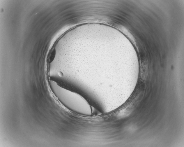 X0000085831096200704091651