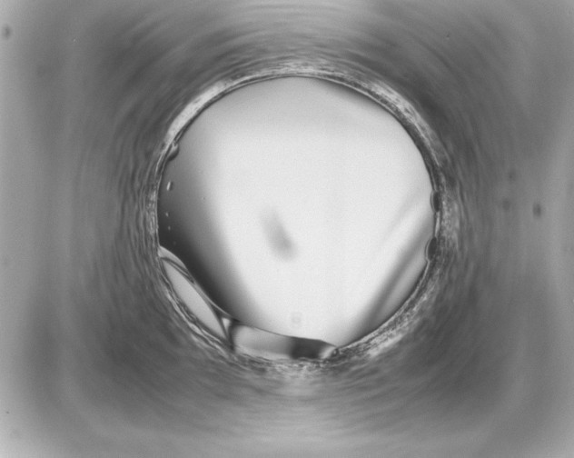 X0000085831097200704091651