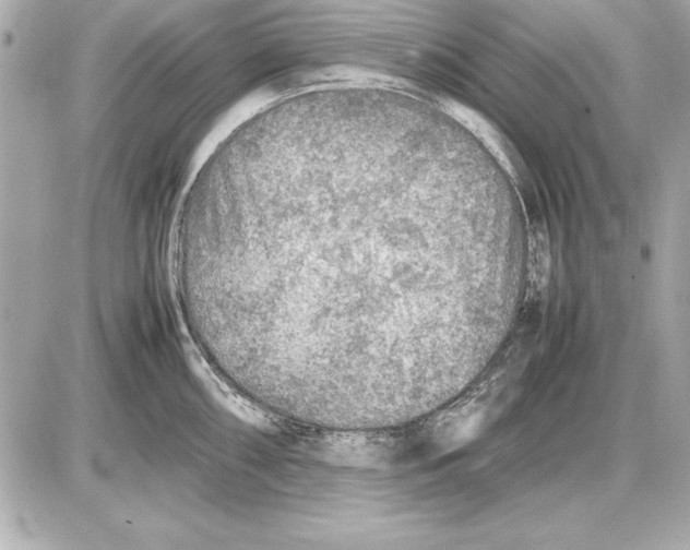 X0000085831098200704091651