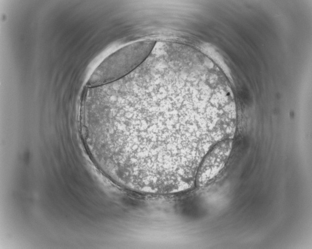 X0000085831099200704091651