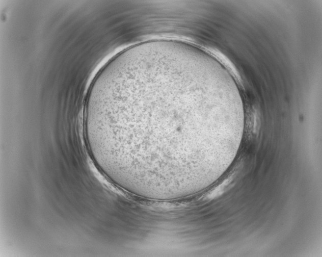 X0000085831100200704091651