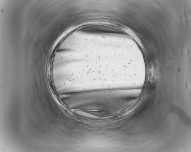 X0000085831101200704091651