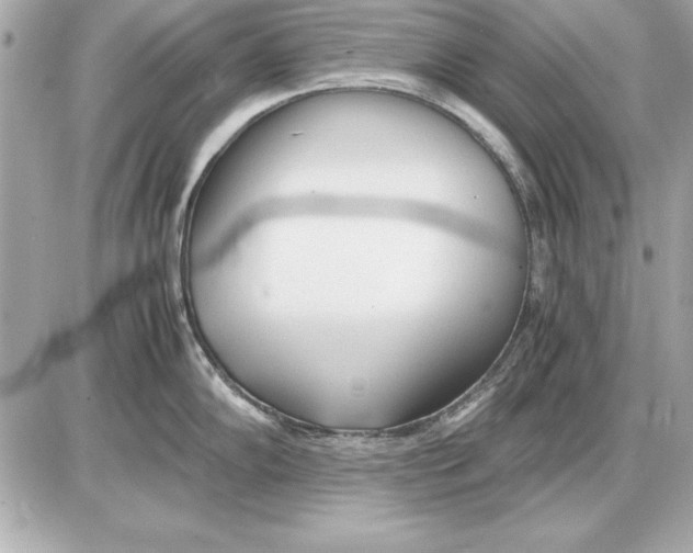 X0000085831102200704091651