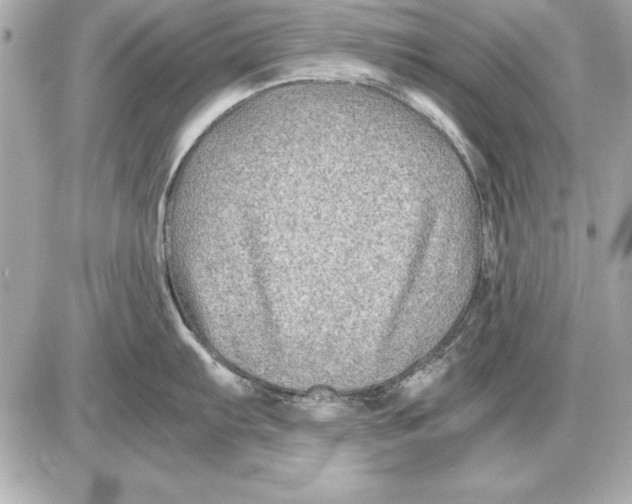 X0000085831103200704091651