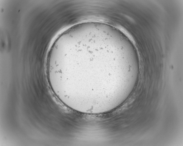 X0000085831104200704091651