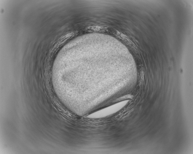 X0000085831105200704091650