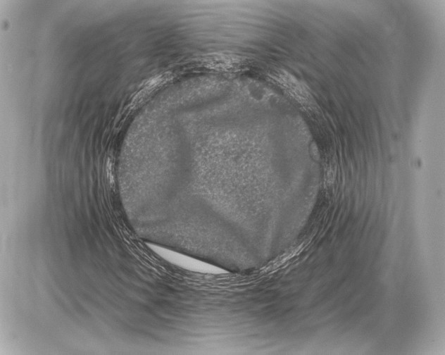 X0000085831106200704091650