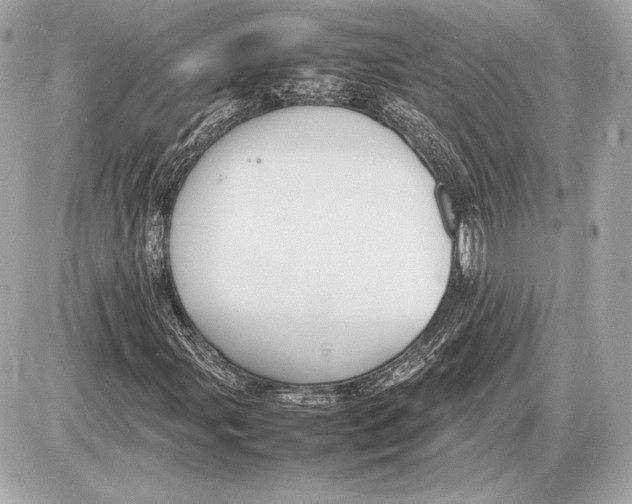 X0000085831107200704091650