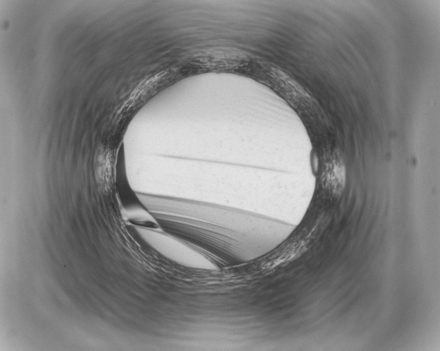 X0000085831108200704091651