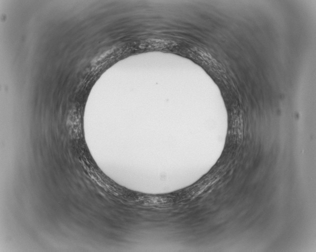 X0000085831109200704091651