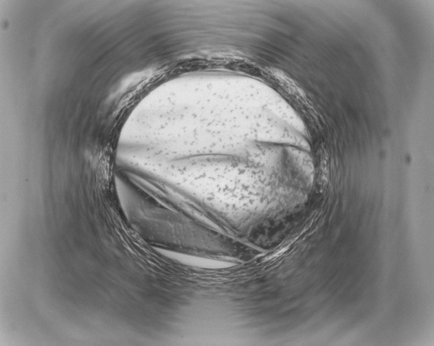 X0000085831110200704091651