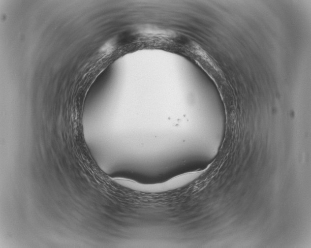 X0000085831111200704091651