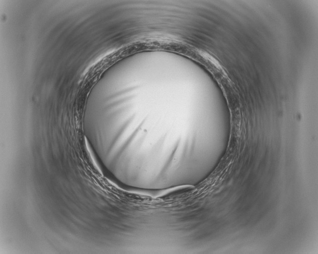 X0000085831112200704091651