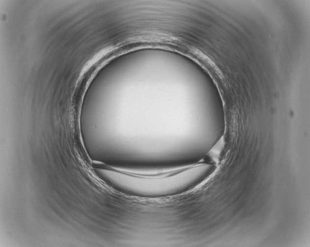 X0000085831114200704091651