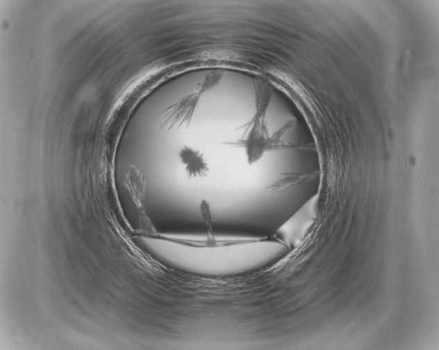 X0000085831115200704091651