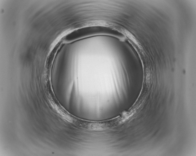 X0000085831116200704091651