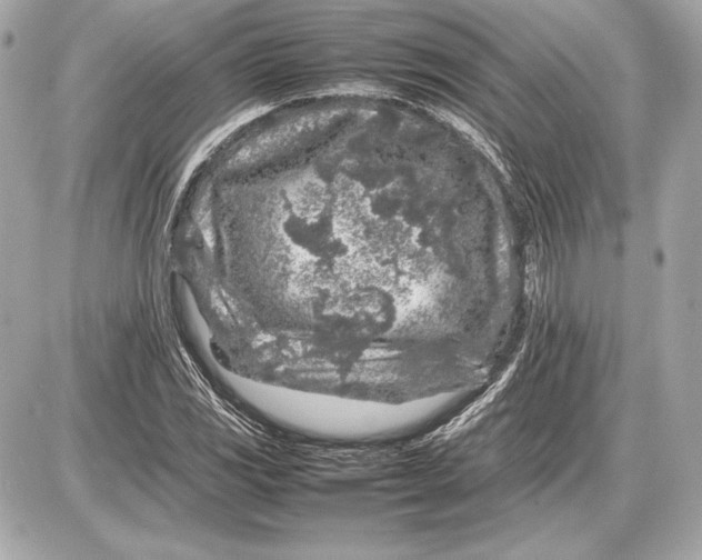 X0000085831117200704091651