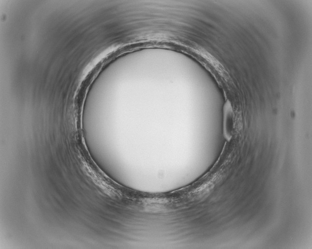 X0000085831118200704091651