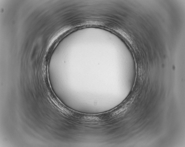 X0000085831119200704091651