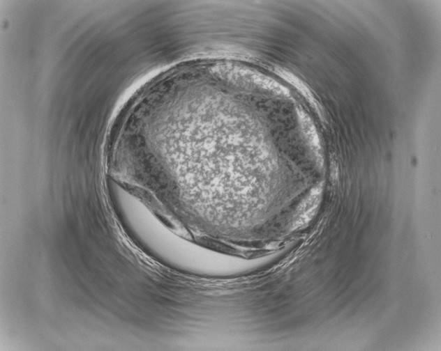 X0000085831120200704091651