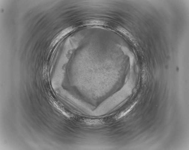 X0000085831121200704091651