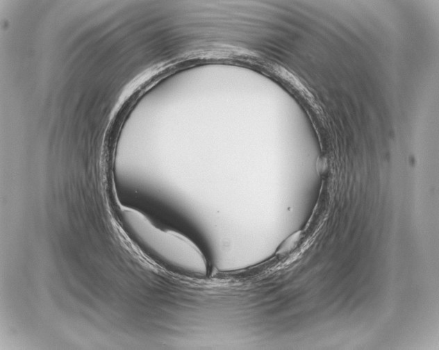 X0000085831122200704091651