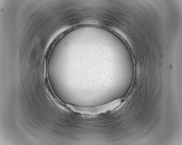 X0000085831123200704091651