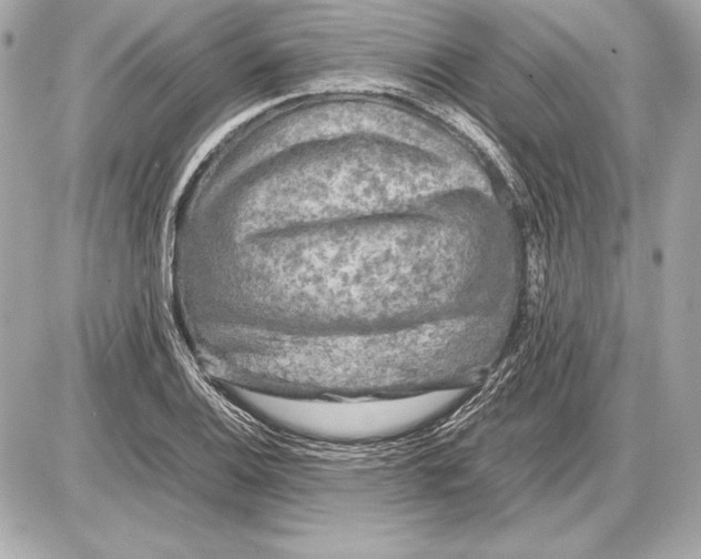 X0000085831124200704091651