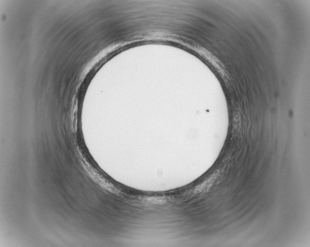 X0000085831126200704091651