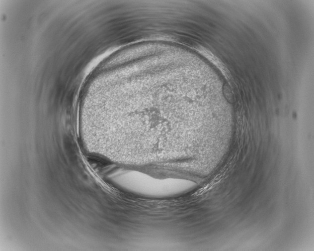 X0000085831127200704091651