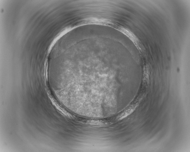 X0000085831128200704091651