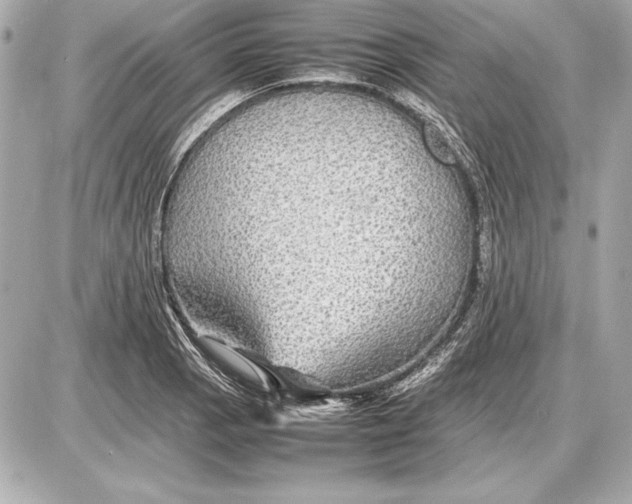 X0000085831129200704091651