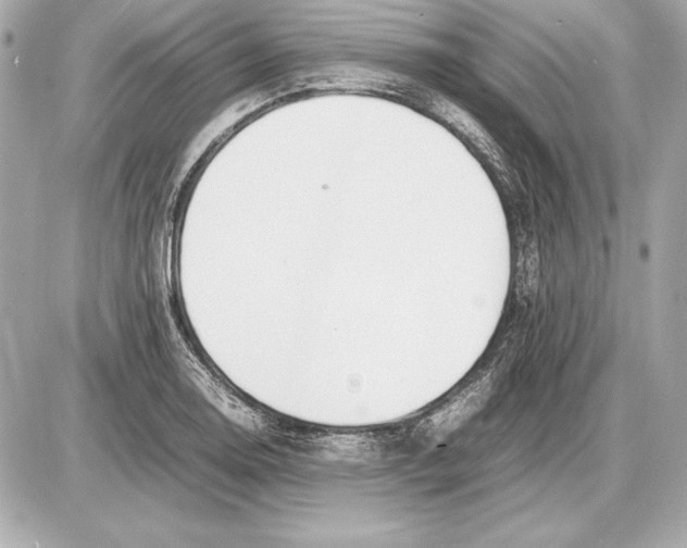 X0000085831130200704091651