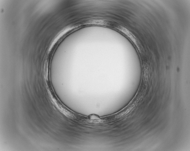 X0000085831131200704091651