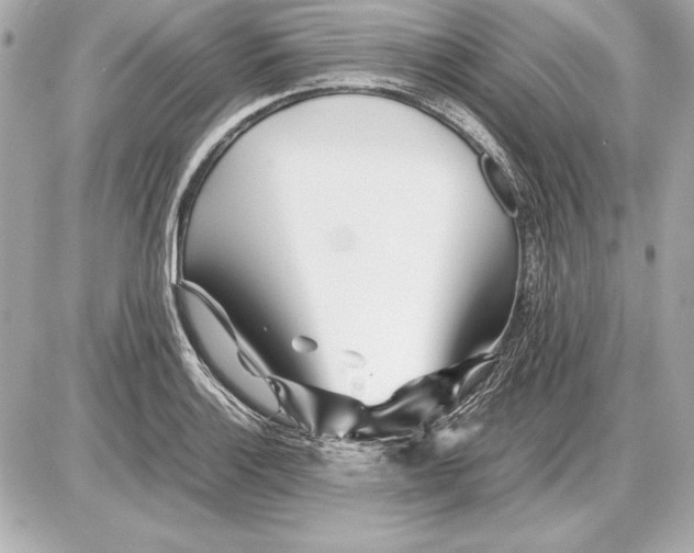 X0000085831132200704091651