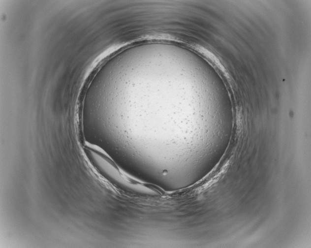 X0000085831133200704091651