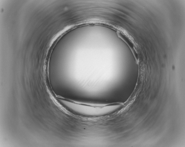 X0000085831134200704091651