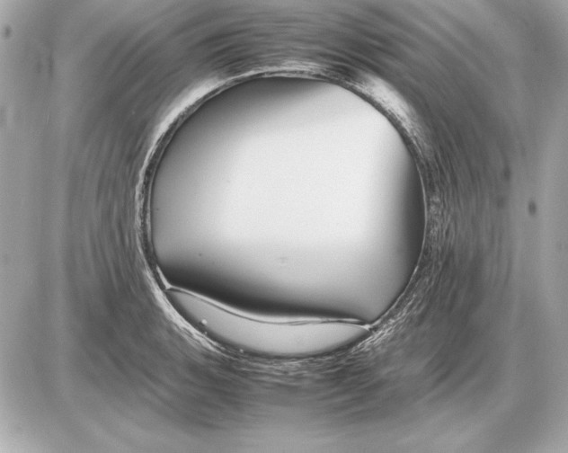 X0000085831135200704091651