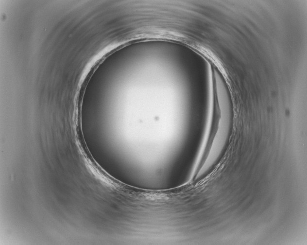 X0000085831136200704091651